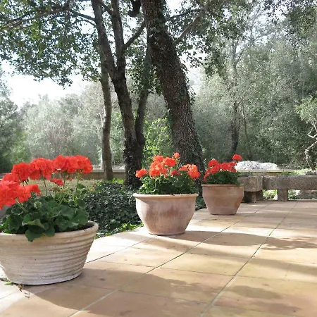 Font March Casa de Férias *