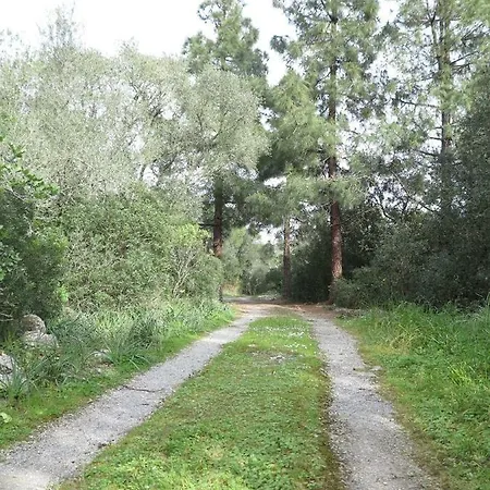 Casa de Férias Font March *