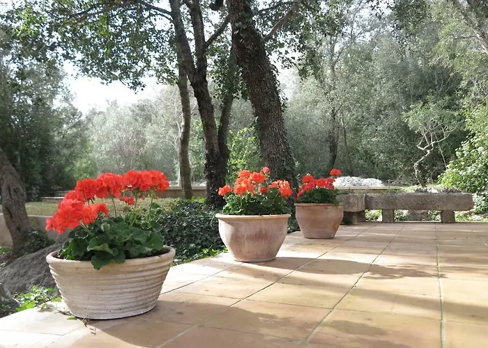 Font March Holiday home *