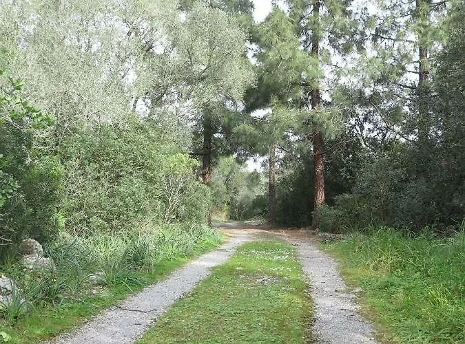 Holiday home Font March *