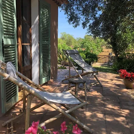 Font March Pollença